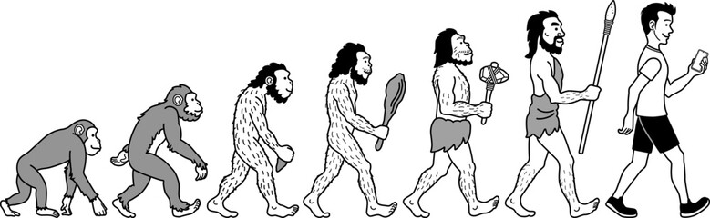 人類進化の過程イラスト