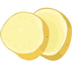 Realistic potato illustration.