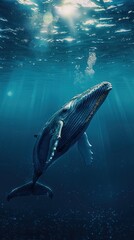Humpback whale swimming in deep blue water with sunbeams shining through the surface