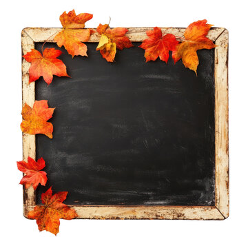 Empty Chalkboard Sign Framed by Orange and Red Autumn Leaves