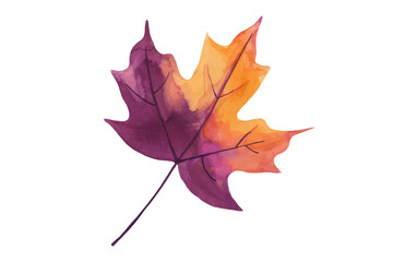 Watercolor illustration of a maple leaf with orange and purple hues on a white background.