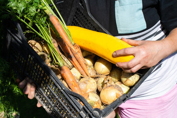 Farmer Holding a Crate Full of Fresh Harvest Vegetables