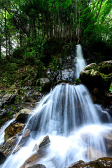 Obraz premium 阿寺渓谷