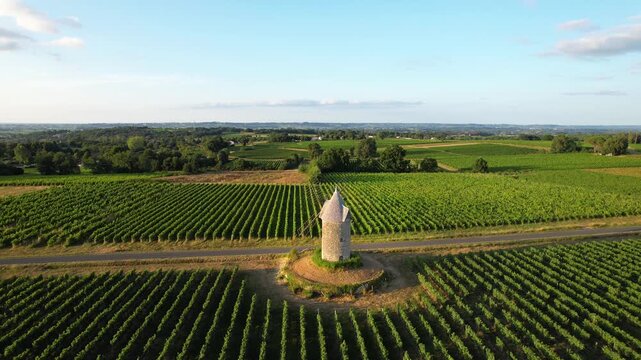 Saint Aubin de Branne, windmill, Bordeaux vineyard, Gironde department, Nouvelle-Aquitaine, France