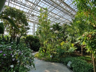 한국의 공원 대전한밭공원