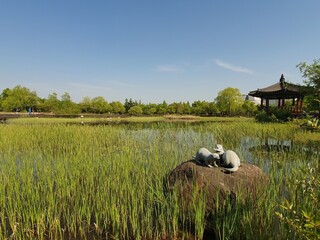 한국의 공원 대전한밭공원