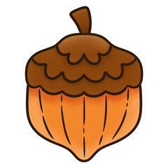 Acorn Nut Hand Drawn Illustration