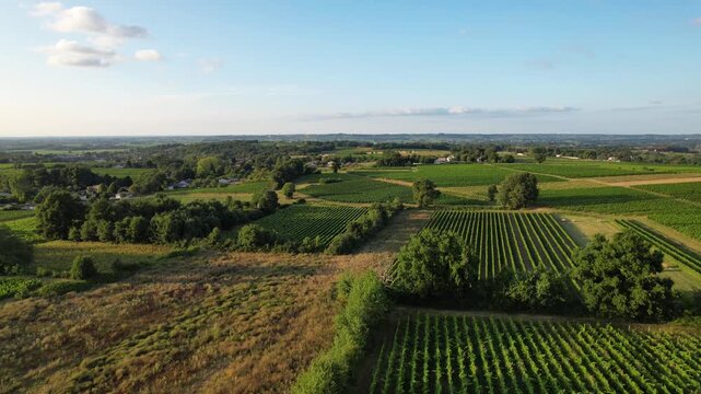 Saint Aubin de Branne, windmill, Bordeaux vineyard, Gironde department, Nouvelle-Aquitaine, France