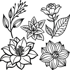 Hand drawn botanical set silhouettes flowers