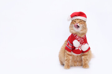 christmas santa claus. Cat sits and licks its lips. Domestic kitten looking up. Indoor cat. Copy space. Ginger Cat wearing festive red sweater and Santa Claus xmas red hat.