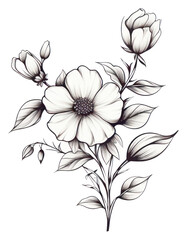PNG Pattern drawing flower sketch.