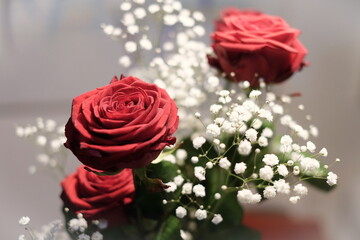 Rose 2