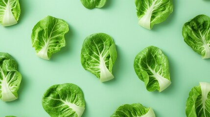Obraz premium Green lettuce Pattern on Light Green Background