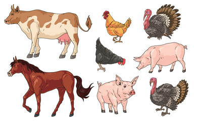 Farm livestock colorful set labels