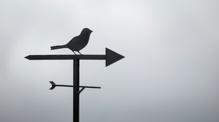 A basic weather vane silhouette, featuring a plain arrow and cardinal directions, minimal detail, 2D vector, monochromatic palette
