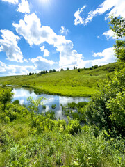 Beautiful river on fields of green grass in summer