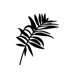 Black silhouettes of tropical leaves