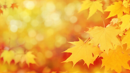 a pile of yellow leaves