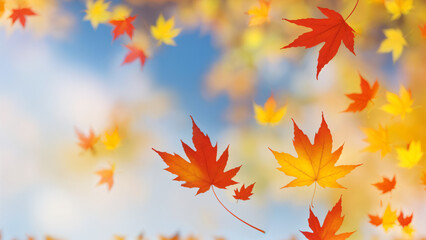 Obraz premium a wind blowing autumn leaves