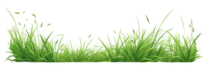 Naklejka premium Grass plant green lawn.