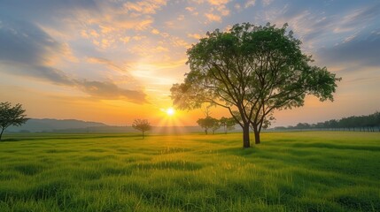 Fototapeta premium Free good morning scene wallpaper background photo