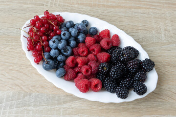 Fresh Berry Medley on a White Platter. The selection features red currants, blueberries, raspberries, and blackberries, artfully arranged on a light wooden surface.