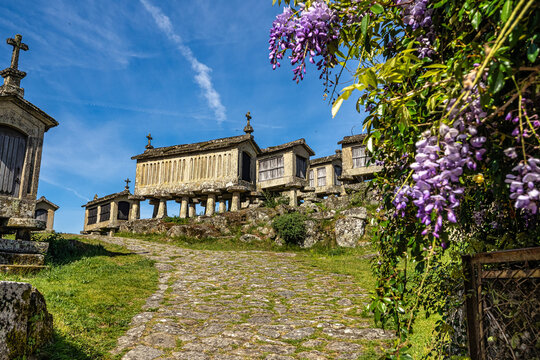 The communitarian granaries, called espigueiros, in the village of Lindoso, Peneda National Park, Northern Portugal