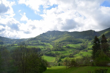 Auvergne series