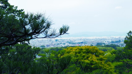 A beautiful Japanese garden near Kyoto (Japan)