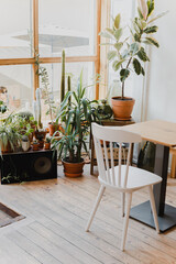Bright Cafe Interior with Indoor Plants