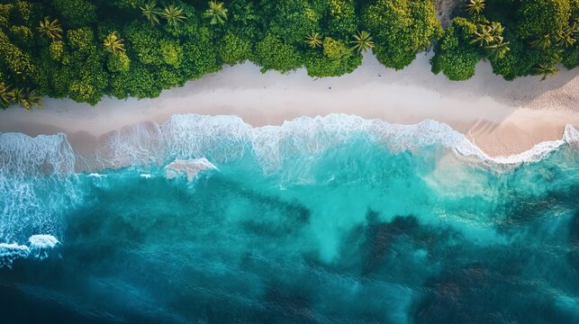Ariel photography or beautiful beach and ocean