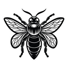 Bee Vector illustration on white background