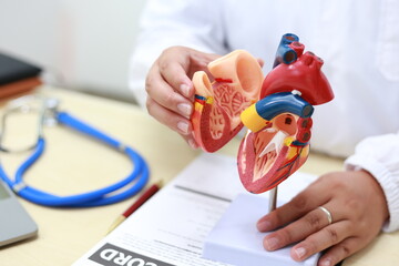 The heart is a muscular organ that pumps blood throughout the body. It consists of four chambers...