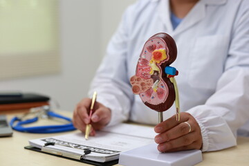 The kidney is a vital organ that filters blood, removes waste, and balances electrolytes. It...