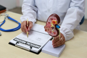 The kidney is a vital organ that filters blood, removes waste, and balances electrolytes. It...