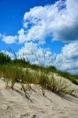 piaszczysta wydma nadmorska, piaszczysta wydma z trawami na tle nieba i pierzastych chmur, seaside sand dune, sand dune with grasses against the background of the sky and clouds, nadmorski pejzaż © kateej