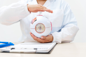 An eye doctor examines an anatomical model of the eye at the clinic, focusing on lens structure, vision health, and treatment options for various eye diseases.