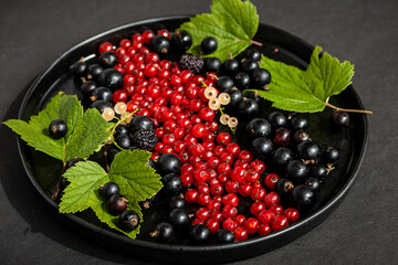 Organic Fresh Currants, mix of red currant, black currant and white currant berries in dark bowl....