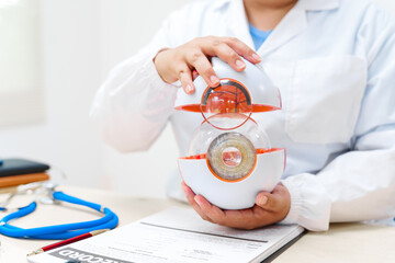 An eye doctor examines an anatomical model of the eye at the clinic, focusing on lens structure,...
