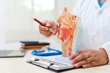 A doctor uses a respiratory system model to explain lung anatomy, diseases like asthma and pneumonia, and treatment options in a hospital setting, enhancing education and patient care.