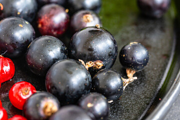 Organic Fresh Black Currants in dark bowl close up. Ribes nigrum on dark background
