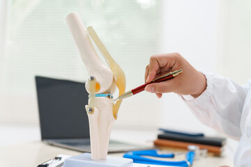 A doctor uses a knee joint model to demonstrate anatomy, diagnose conditions like osteoarthritis, and discuss treatment options, including surgery and therapy, with a patient in a clinical setting. - Powered by Adobe