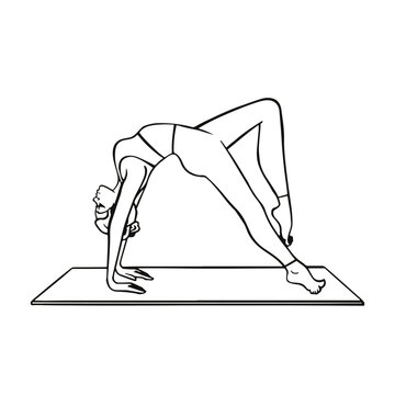 recommend clip art: Yoga, assana gymnastic bridge, coloring outline illustration