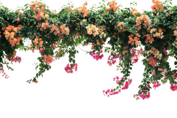 Fototapeta premium Colorful floral hanging decoration