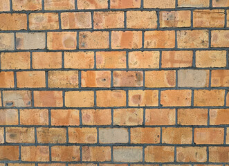 Red brick wall with black joints.
