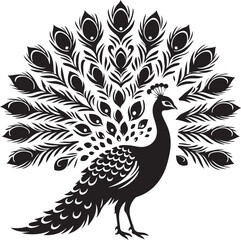 Fototapeta premium Pecock black and white vector silhouette