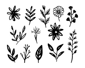 A collection of 12 hand-drawn black and white silhouettes of flowers and leaves.