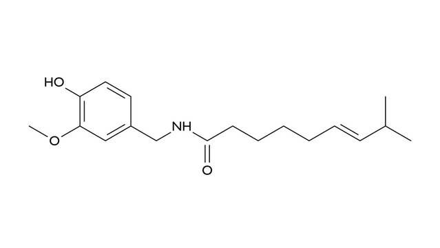 capsaicin molecule, structural chemical formula, ball-and-stick model, isolated image capsaicinoids
