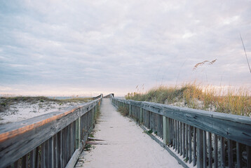 Fototapeta premium boardwalk in the dunes