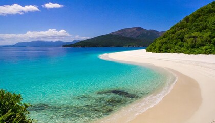 Fototapeta premium Pristine White Sand Beach with Crystal Clear Waters